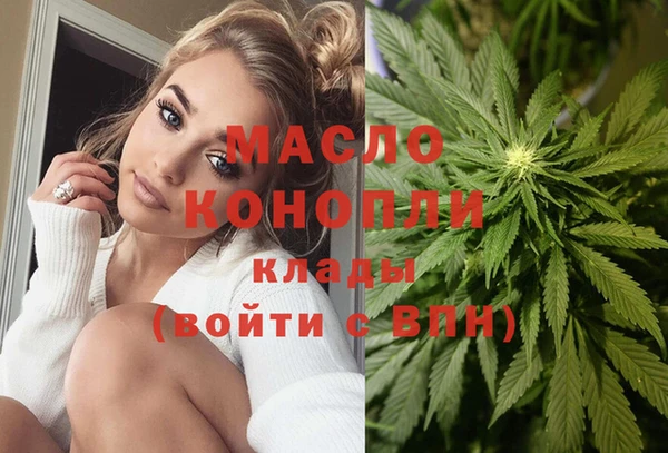 сатива Коряжма