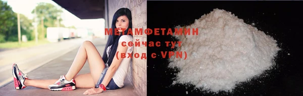 сатива Коряжма