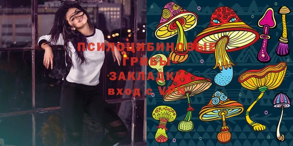 спайс Кодинск