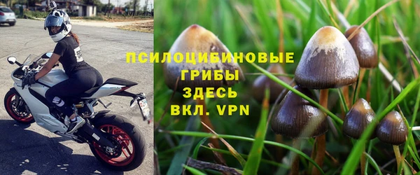 СК Козловка