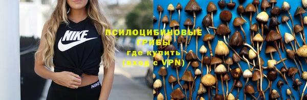 спайс Кодинск