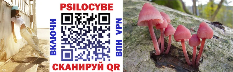 Купить где  Ноябрьск  Галлюциногенные грибы мицелий 